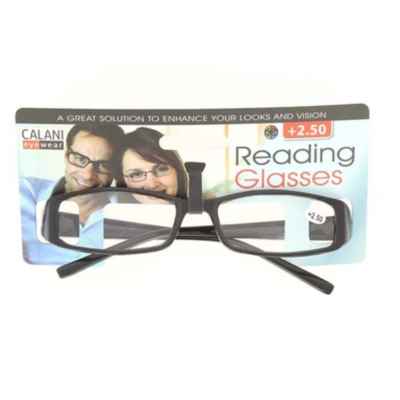 READING GLASSES +2.50 (R)